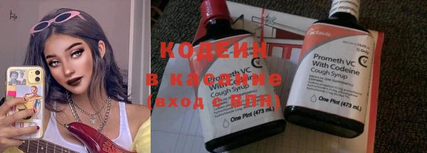 гашик Алексеевка