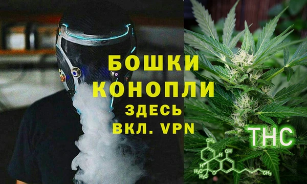 гашик Алексеевка
