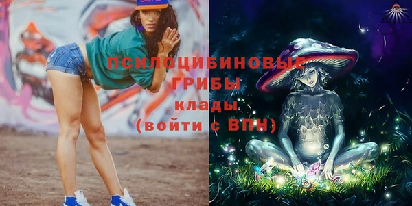 гашик Алексеевка