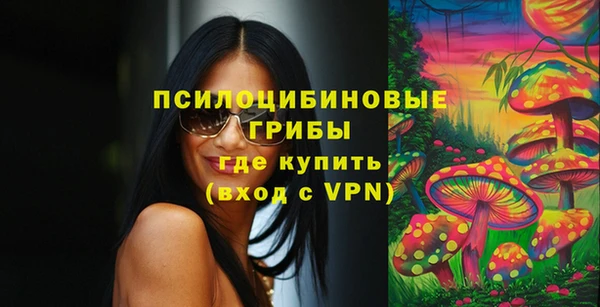 гашик Алексеевка