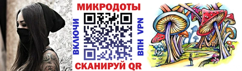 Купить  Астрахань  Псилоцибиновые грибы мицелий 